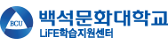 백석문화대학교